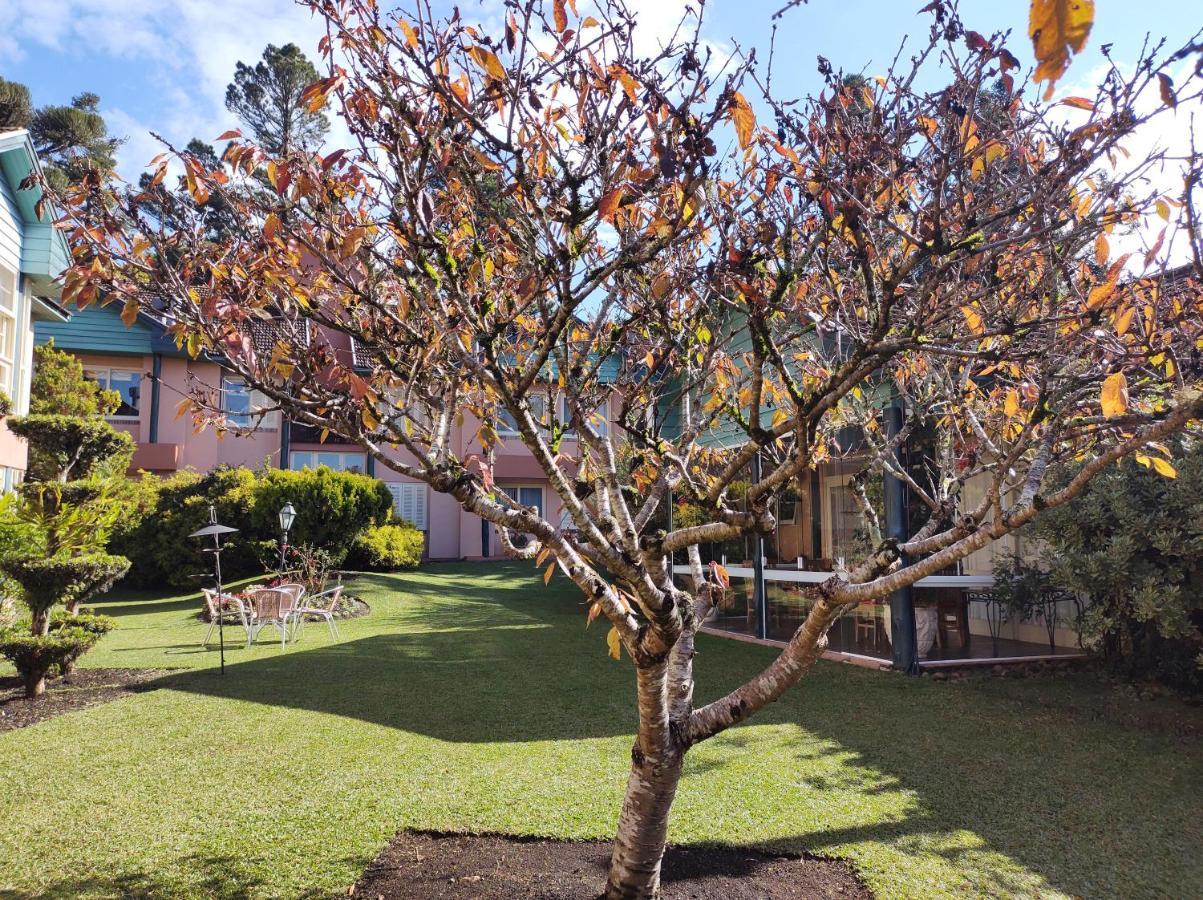 Agradavel Apt 2Quartos Para Familia Prox Ao Lago Negro - 4 Min Do Centro- Com Churrasqueira Gramado Exterior photo